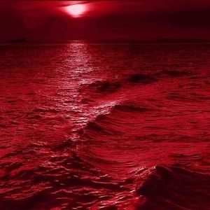 Meet your Posher, Ahnaan